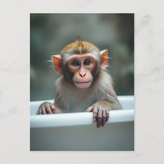 Lustiger Affe im Badezimmer Postkarte (Vorderseite)