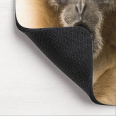 Lustiger Affe-schlechter Tag Mousepad (Ecke)