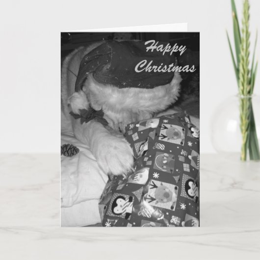 lustiger Akita-Hund mit Feiertagskarte (Vorderseite)