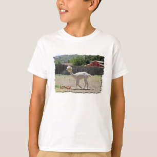 Lustiger Alpaka-T - Shirt