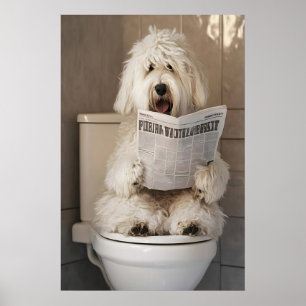 Lustiger Alter Englischer Schäferhund Badezimmer D Poster