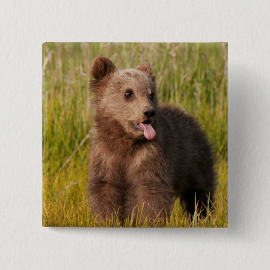 Lustiger Baby-Bär Getty Bild-| Button (Vorderseite)