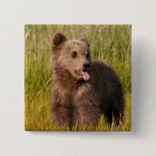 Lustiger Baby-Bär Getty Bild- Button