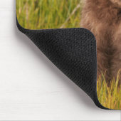 Lustiger Baby-Bär Getty Bild-| Mousepad (Ecke)
