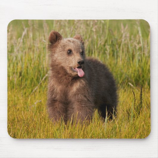 Lustiger Baby-Bär Getty Bild-| Mousepad (Vorne)