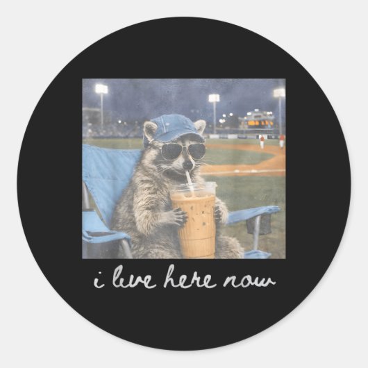 Lustiger Baseballplatz Waschbär Eis Kaffee Live Runder Aufkleber (Vorderseite)