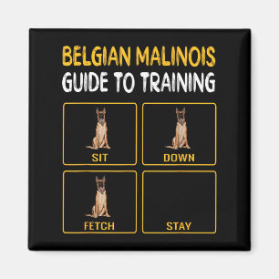 Lustiger belgischer Malinoi-Leitfaden zum Training Magnet