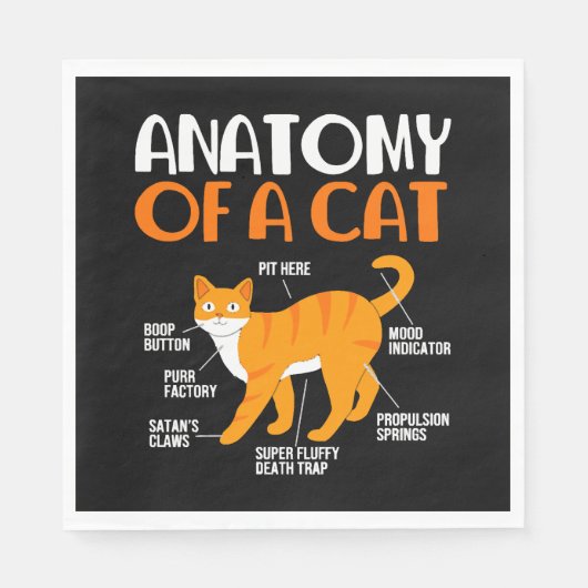 Lustiger Besitzer einer Tabby-Katze Anatomie einer Serviette (Vorderseite)