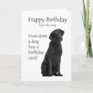 Lustiger Black Lab Geburtstag Humor Karte