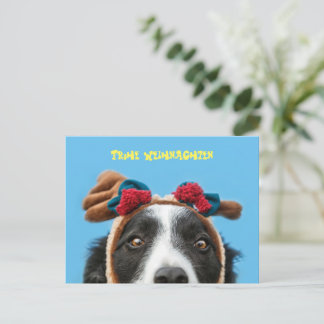 Lustiger Border Collie wünscht frohe Weihnachten Postkarte