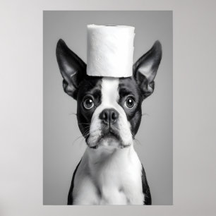 Lustiger Boston-Terrier-Badezimmerdruck, Toiletten Poster