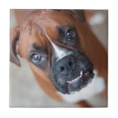 Lustiger Boxerhund Fliese (Vorderseite)