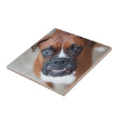 Lustiger Boxerhund Fliese (Seite)
