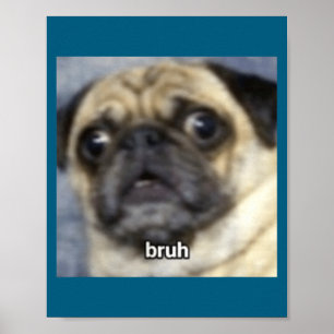 Lustiger Bruh überraschter Mops Hund unscharf Poster