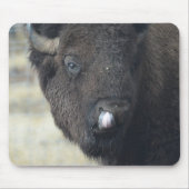 Lustiger Büffel Mousepad (Vorne)