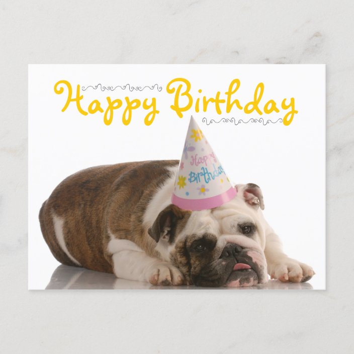 Lustiger BulldoggenGeburtstag Postkarte Zazzle.de
