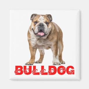Lustiger Bulldoggenliebhaber Lustiger Bully-Welpen Magnet