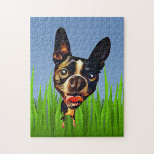 Lustiger Cartoon Boston Terrier 252 Teile Puzzle