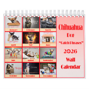 Lustiger Chihuahua 2026 Catchphrases Wandkalender