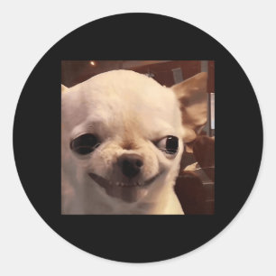Lustiger Chihuahua-Meme selbstgefälliges Lächeln H Runder Aufkleber