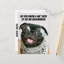 Lustiger chinesischer Mops, süßer Welpe, Tier-Theo