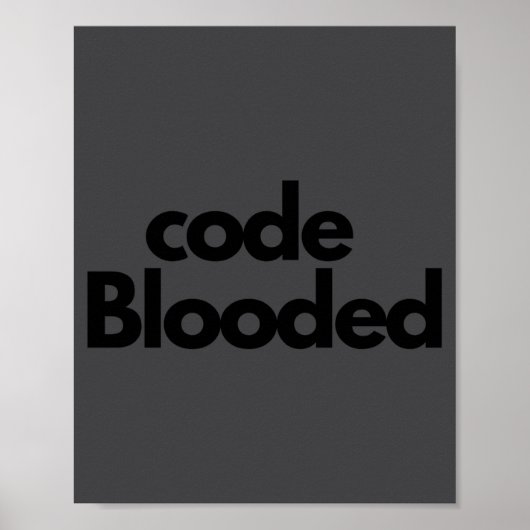 Lustiger Coder Computerprogrammierer Poster (Vorne)
