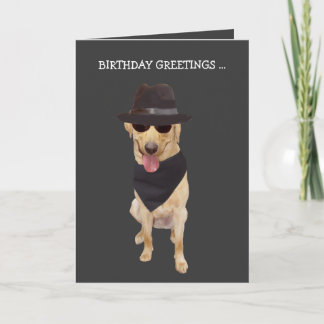 Lustiger cooler Hund/Labrador von der Gruppe Karte