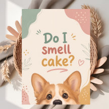 Lustiger Corgi-Geburtstag