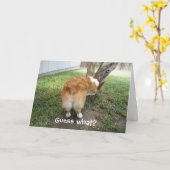 Lustiger Corgi Karte (Gelbe Blume)