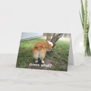 Lustiger Corgi Karte