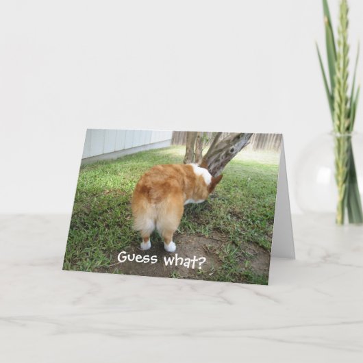 Lustiger Corgi Karte (Vorderseite)