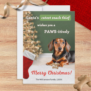 Lustiger Dachshund Hund Tier Weihnachts Humor Feiertagskarte