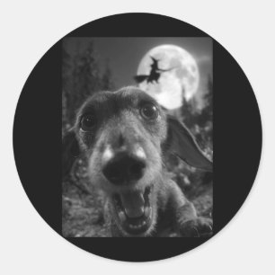 Lustiger Dachshund Selfie Vollmond Fliegende Hexe Runder Aufkleber