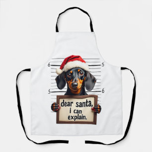 Lustiger Dachshund Weihnachten Lieber Santa Ich Ka Schürze
