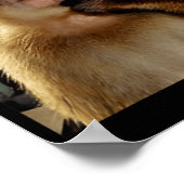 Lustiger denkender Affe Meme neugieriger Affe Brai Poster (Ecke)