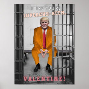 Lustiger Donald- Trumpanklagen-Valentinstag Poster