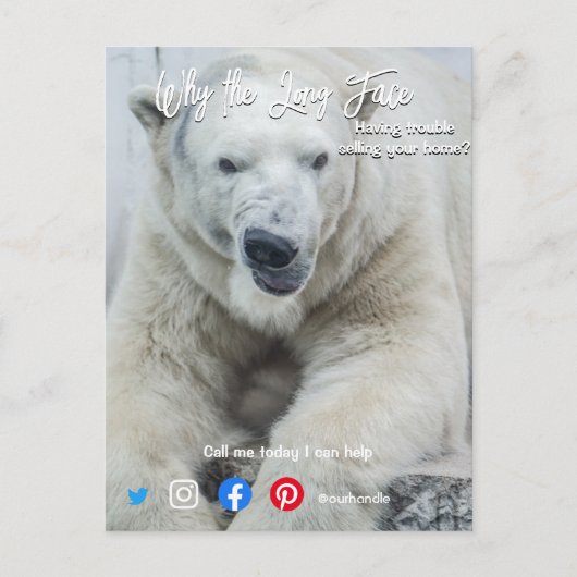 lustiger echter Anwesen auf der Postkarte Weißbär (Vorderseite)