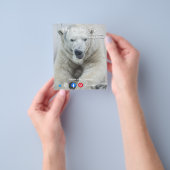 lustiger echter Anwesen auf der Postkarte Weißbär Flyer (Gruppe)