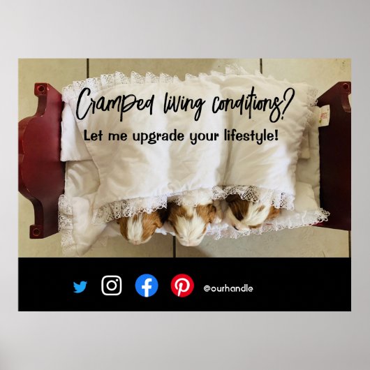 lustiger echter Anwesen Postkarte verkrampfter leb Poster (Vorne)