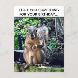 Lustiger Eichhörnchen-Witz Deez Nuts Unangemessene Postkarte