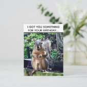 Lustiger Eichhörnchen-Witz Deez Nuts Unangemessene Postkarte (Stehend Vorderseite)
