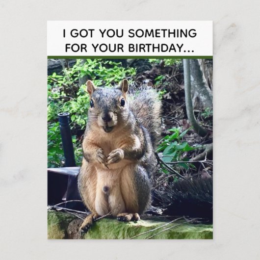 Lustiger Eichhörnchen-Witz Deez Nuts Unangemessene Postkarte (Vorderseite)