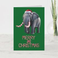 Lustiger Elefant Weihnachtsfeiertag