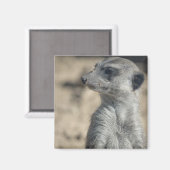 Lustiger Erdmännchen Magnet (Vorderseite/Rückseite)