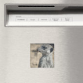 Lustiger Erdmännchen Magnet (In Situ (Geschirrspüler))