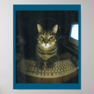 Lustiger ernster Gamer Katzenliebhaber Deckhengst Poster