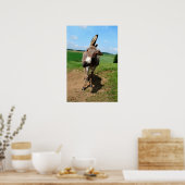 Lustiger Esel Poster (Küche)