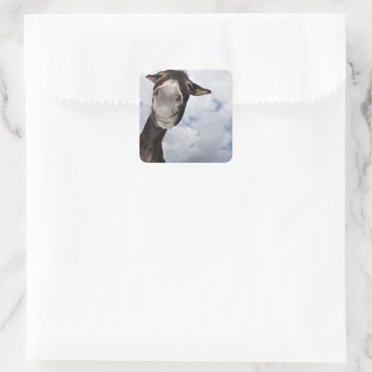 lustiger Esel Quadratischer Aufkleber (Tasche)
