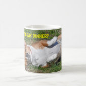 Lustiger fetter Beagle tat Sie, Abendessen zu Kaffeetasse (Mittel)