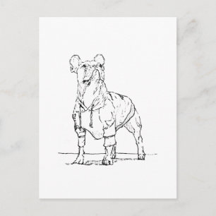 Lustiger Französischer Bulldogge – Ich denke an D Postkarte